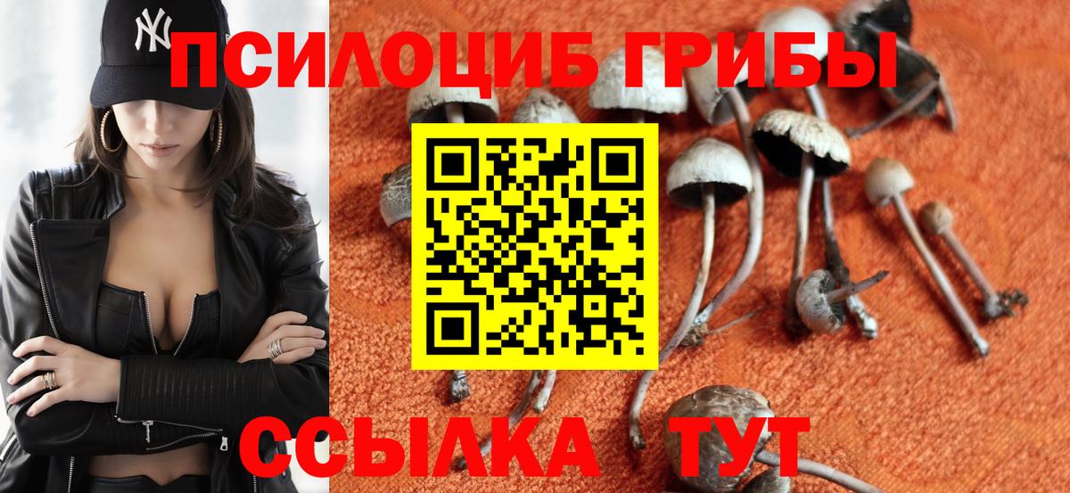 Псилоцибиновые грибы ЛСД  Псилоцибиновые грибы MAGIC MUSHROOMS  Коломна  Вход с VPN 